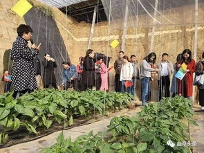 品味山東2018全國融媒體曲阜行 百譽農(nóng)業(yè)、金秋菊展與孔府家酒