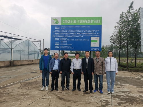 注重農(nóng)產(chǎn)品質(zhì)量安全 提升蔬菜產(chǎn)業(yè)設(shè)施構(gòu)型