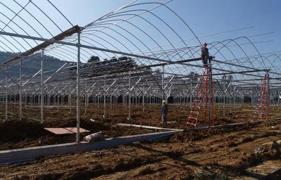 貴州黔西 智慧農業生態谷引領現代農業 托管服務助鄉村振興新篇章