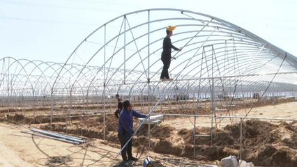 朔城區 夯實農業基礎設施根基，譜寫現代農業發展新篇章