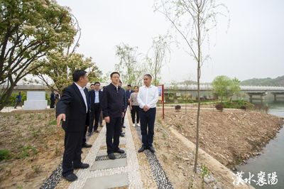 王祺揚強調 推進農文旅深度融合，以農業托管服務打造鄉村振興新引擎