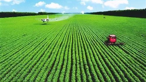 減少1300萬人，東北農業逆襲新路徑 企業托管服務重塑黑土地