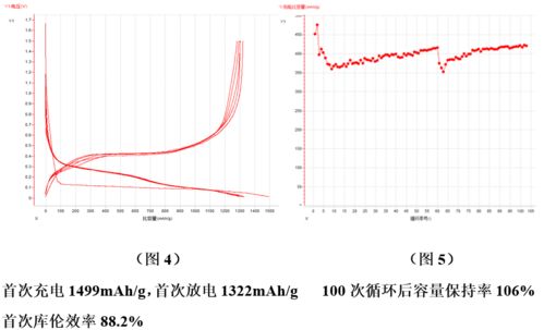 技術(shù)前沿│全球硅基負(fù)極材料專利數(shù)量已逾萬件，探尋生物硅負(fù)極材料的秘密